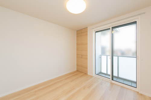 ＳｈａＭａｉｓｏｎ　Ｔ．Ｓ 0201号-10