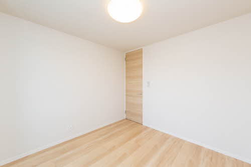 ＳｈａＭａｉｓｏｎ　Ｔ．Ｓ 0201号-11