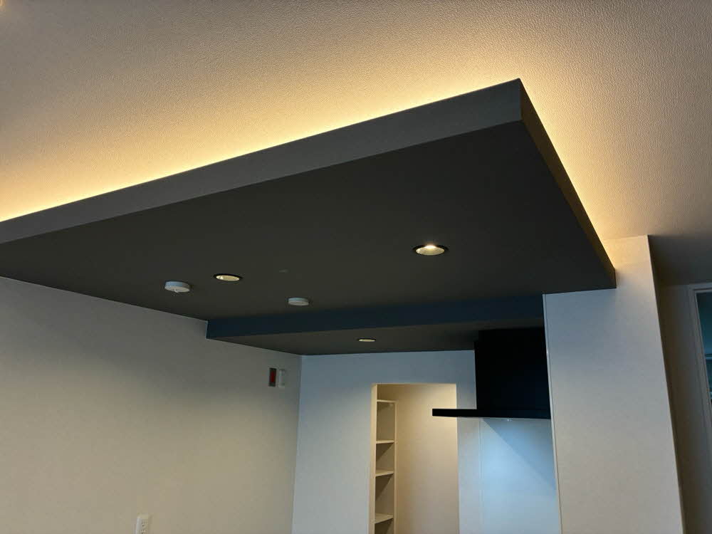 シャーメゾン　フルルプランテ 0101号-9