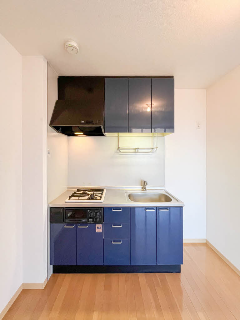 プランドール 0205号-3