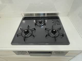 カーサ・ヴェルデ 0203号-8