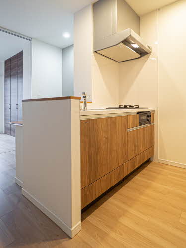 アイエフノヴァ水波町 0101号-3