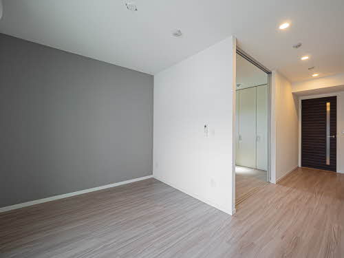 アイエフノヴァ水波町 0303号-2