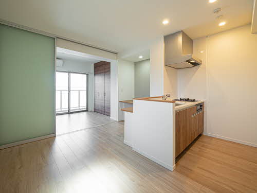 アイエフノヴァ水波町 0401号-2