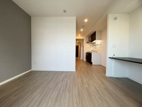 アイエフノヴァ水波町 0503号-3