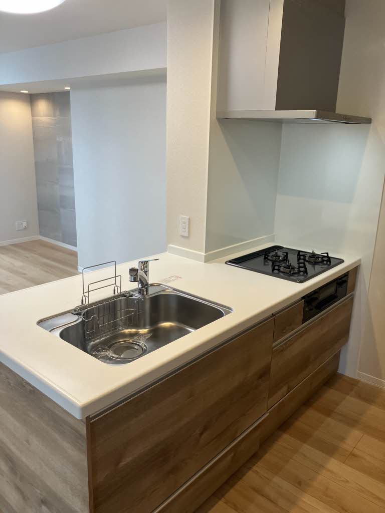 ヴィスターリ桂 0301号-11