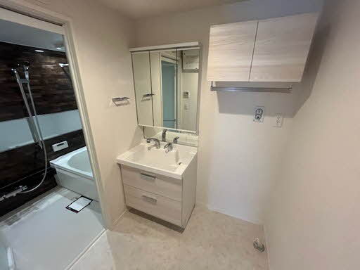 Ｌｕｃｉｏｌｅ 0203号-8