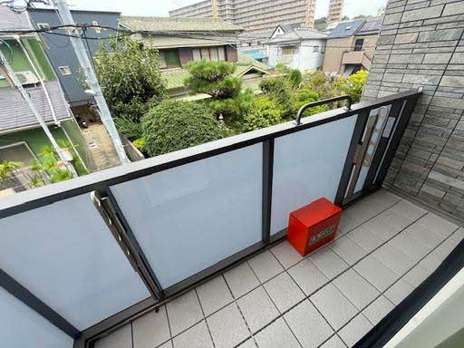 Ｌｕｃｉｏｌｅ 0203号-11