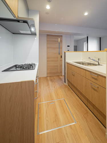 ＳｈａＭａｉｓｏｎ　Ａｏｉｒｏ 0101号-3