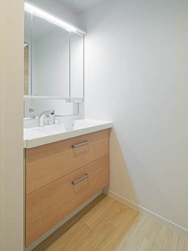 ＳｈａＭａｉｓｏｎ　Ａｏｉｒｏ 0101号-6