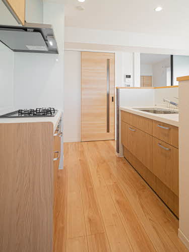 ＳｈａＭａｉｓｏｎ　Ａｏｉｒｏ 0301号-3