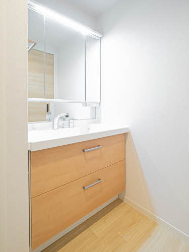 ＳｈａＭａｉｓｏｎ　Ａｏｉｒｏ 0301号-6