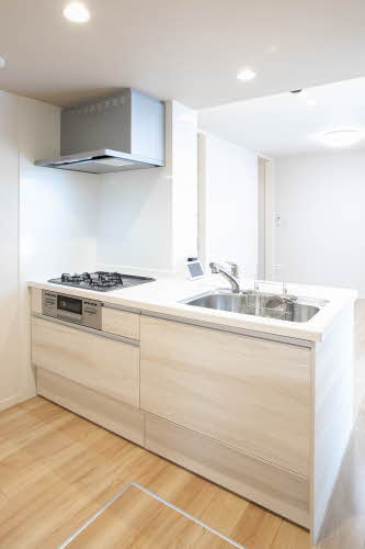 ＳｈａＭａｉｓｏｎ　Ｇｒａｃｅ 0103号-10