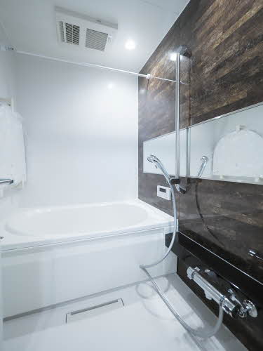 Ｓｈａｍａｉｓｏｎ　エーデル：百舌鳥 0202号-4