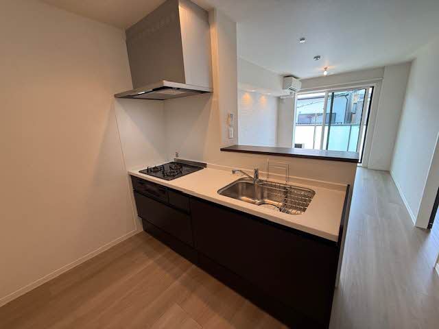 Ｆｅｒｒｉｓ　Ｇａｉａ　Ｍ 0301号-4