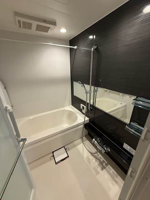 Ｆｅｒｒｉｓ　Ｇａｉａ　Ｍ 0301号-8