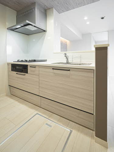 La maison marron 0103号-9