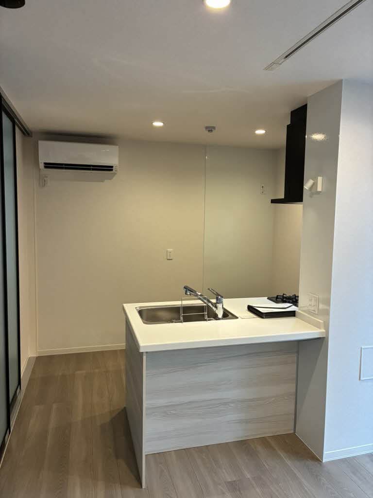 ＴＨＥ　ＣＬＡＳＳ　城東　ＲＥＳＩＤＥＮＣＥ 0207号-3