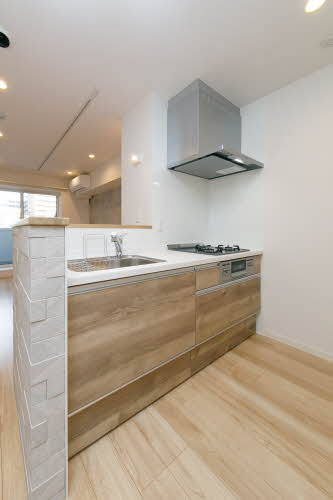 ＴＨＥ　ＣＬＡＳＳ　城東　ＲＥＳＩＤＥＮＣＥ 0303号-9