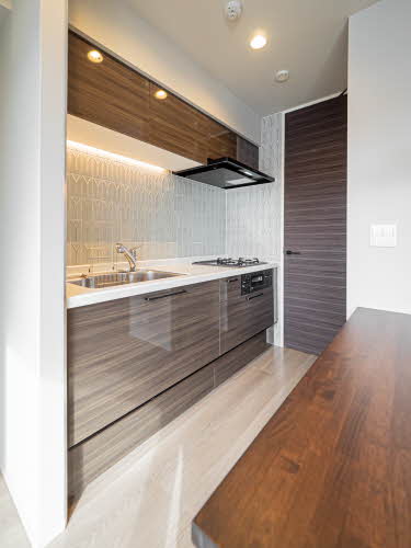 Ｌｉｇｈｔ　ｖｉｌｌａ　江坂 0301号-8