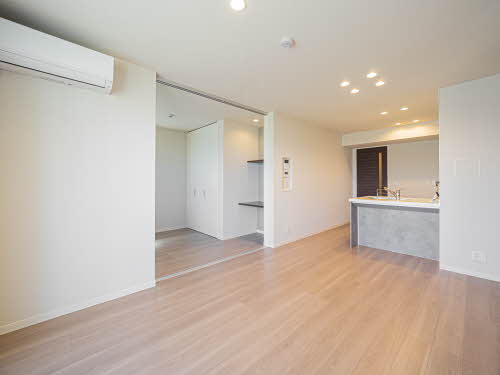 Ｓｈａｍａｉｓｏｎ　Ｓｔｅｌｌａ　Ｒｉｓａｉａ 0106号-2