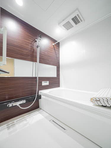 Ｓｈａｍａｉｓｏｎ　Ｓｔｅｌｌａ　Ｒｉｓａｉａ 0106号-8