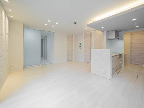 シャーメゾン　エレガンス 0102号-2