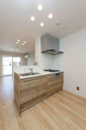 Ａｂｅｌｉａ 0202号-8