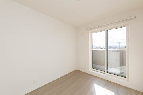 Ａｂｅｌｉａ 0301号-6