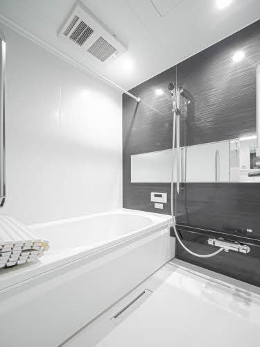 ｓｈａｍａｉｓｏｎ　栄蔵 0301号-6