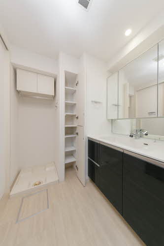 ALBLANC KYOMACHIBORI(アルブラン京町堀) 0602号-10