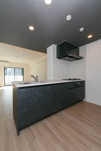 ALBLANC KYOMACHIBORI(アルブラン京町堀) 0602号-12