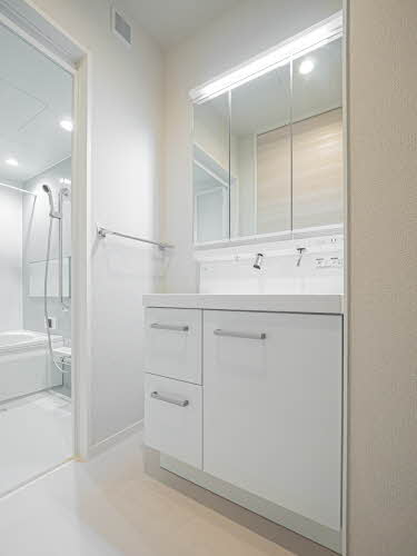 ＳｈａＭａｉｓｏｎ　Ｔ．ＳⅡ 0103号-6