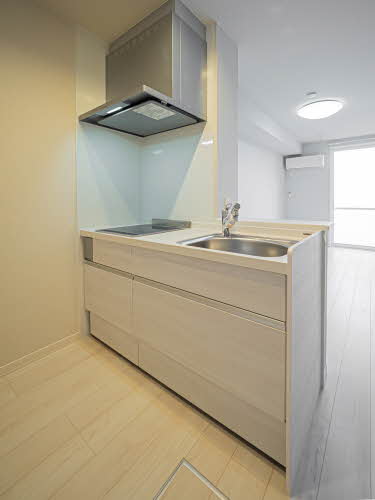 ＳｈａＭａｉｓｏｎ　Ｔ．ＳⅡ 0103号-8