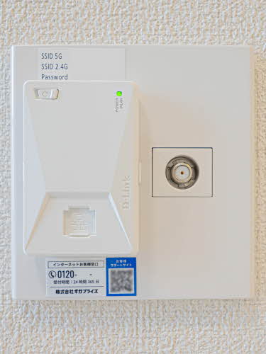 ＳｈａＭａｉｓｏｎ　Ｔ．ＳⅡ 0103号-12