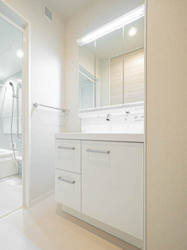 ＳｈａＭａｉｓｏｎ　Ｔ．ＳⅡ 0105号-7