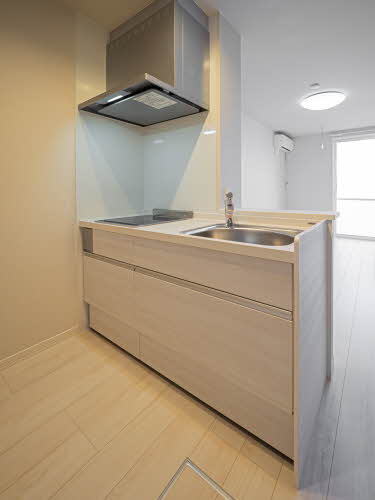 ＳｈａＭａｉｓｏｎ　Ｔ．ＳⅡ 0105号-9