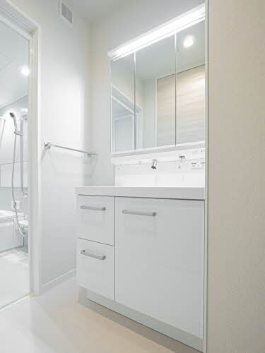 ＳｈａＭａｉｓｏｎ　Ｔ．ＳⅡ 0203号-6