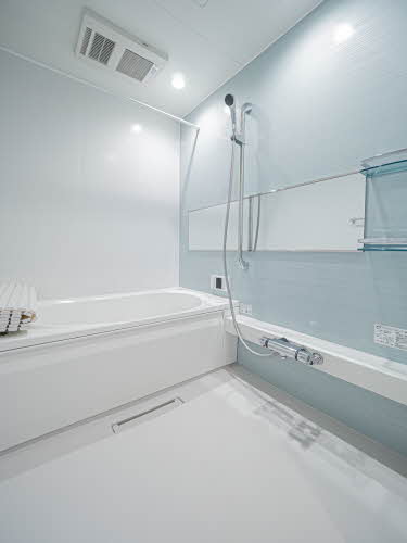 ＳｈａＭａｉｓｏｎ　Ｔ．ＳⅡ 0203号-7