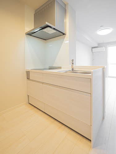 ＳｈａＭａｉｓｏｎ　Ｔ．ＳⅡ 0203号-8