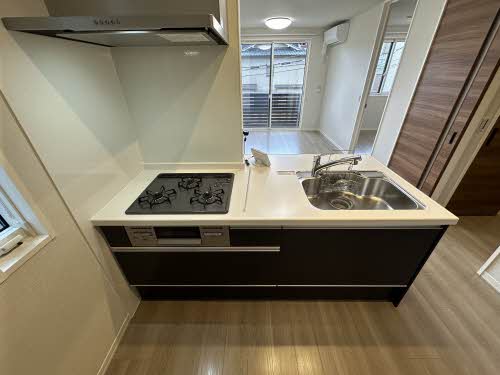 ＳｈａＭａｉｓｏｎ　Ｇｒａｓｓ 0201号-11