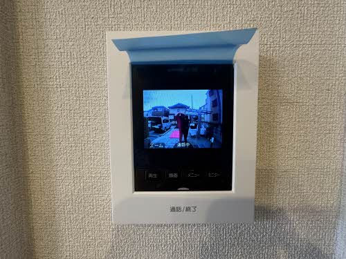 ＳｈａＭａｉｓｏｎ　Ｇｒａｓｓ 0201号-12