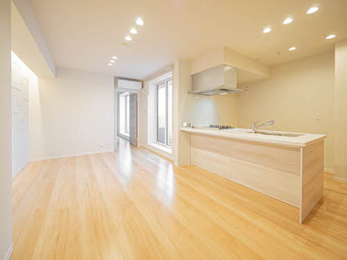 Ｓｈａ　Ｍａｉｓｏｎ　Ｇｒａｃｅ 0202号-2