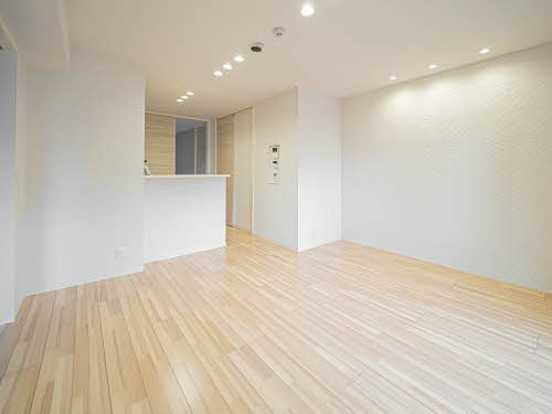 Ｓｈａ　Ｍａｉｓｏｎ　Ｍｏｎｓ 0201号-2