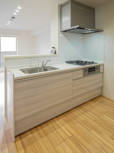 Ｓｈａ　Ｍａｉｓｏｎ　Ｍｏｎｓ 0201号-4