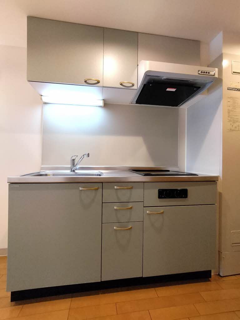 メゾン・ド・ビオラ 0101号-6