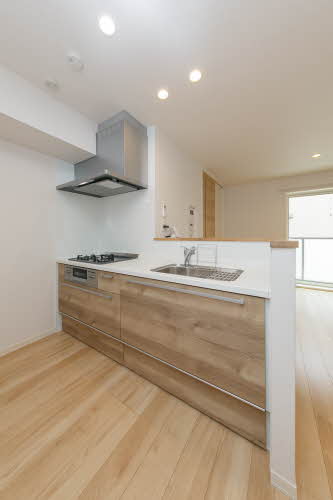 ＳｈａＭａｉｓｏｎ　ｐｏｎｏ 0301号-3