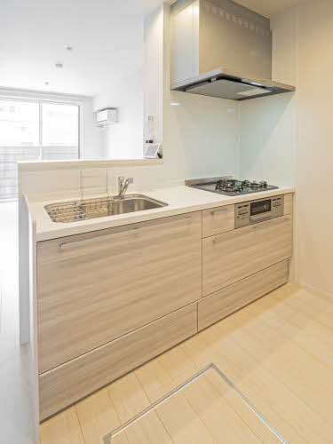 メゾン・ド・クレール 0102号-3