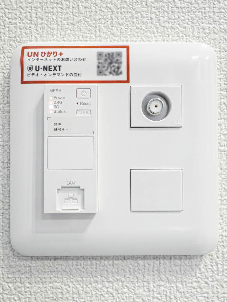 The Eternal Chrysanthemum 0102号-11