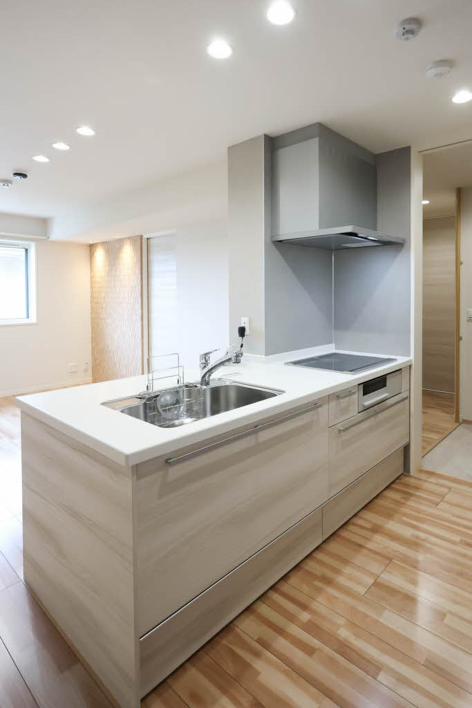 SouthMaisonさくら 0201号-10